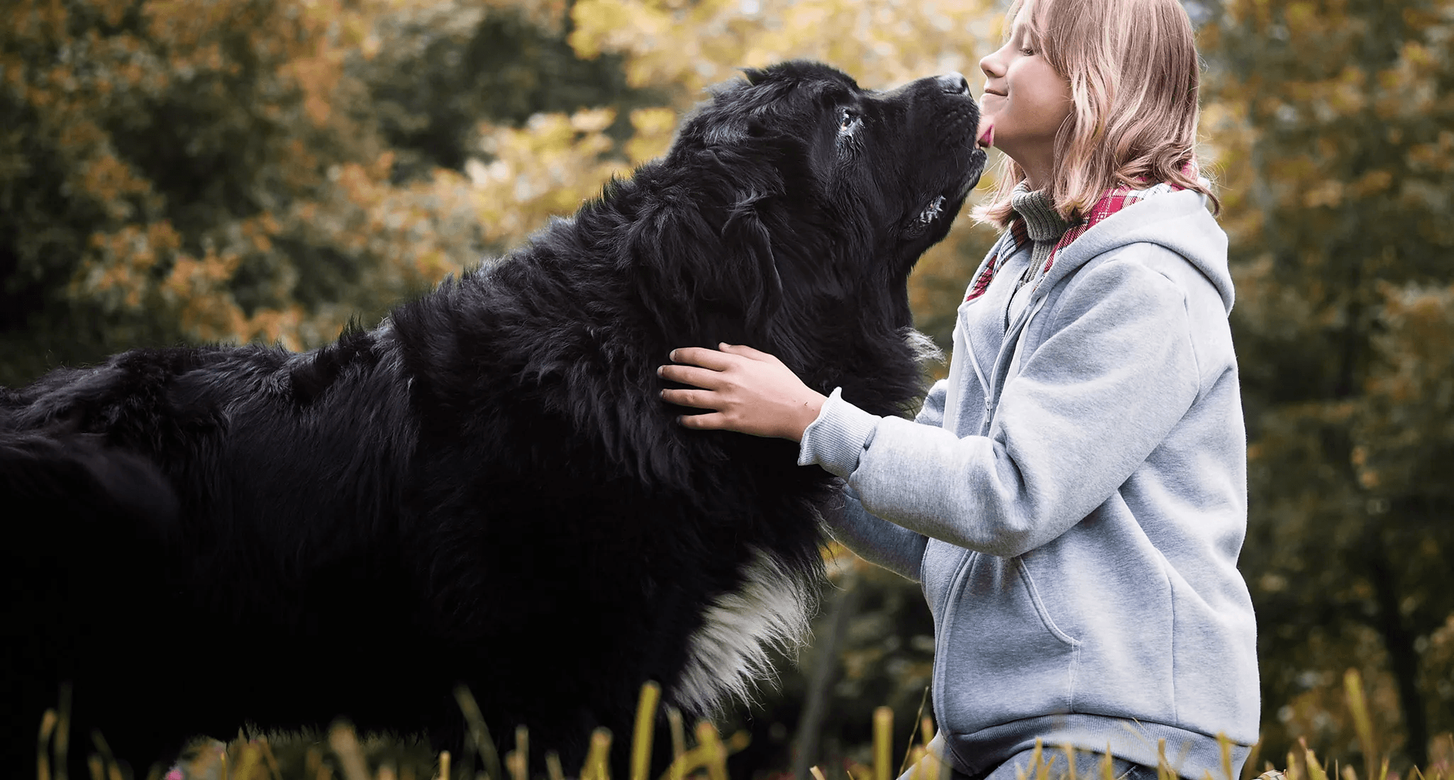 Dog Breeds That Thrive in Large Outdoor Spaces