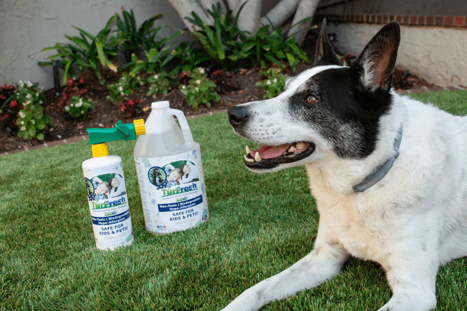 Your Complete Guide to Lawn Deodorizers